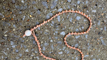 Load image into Gallery viewer, HC - Everyday 2'Fer Necklace 18" Gold Pearl
