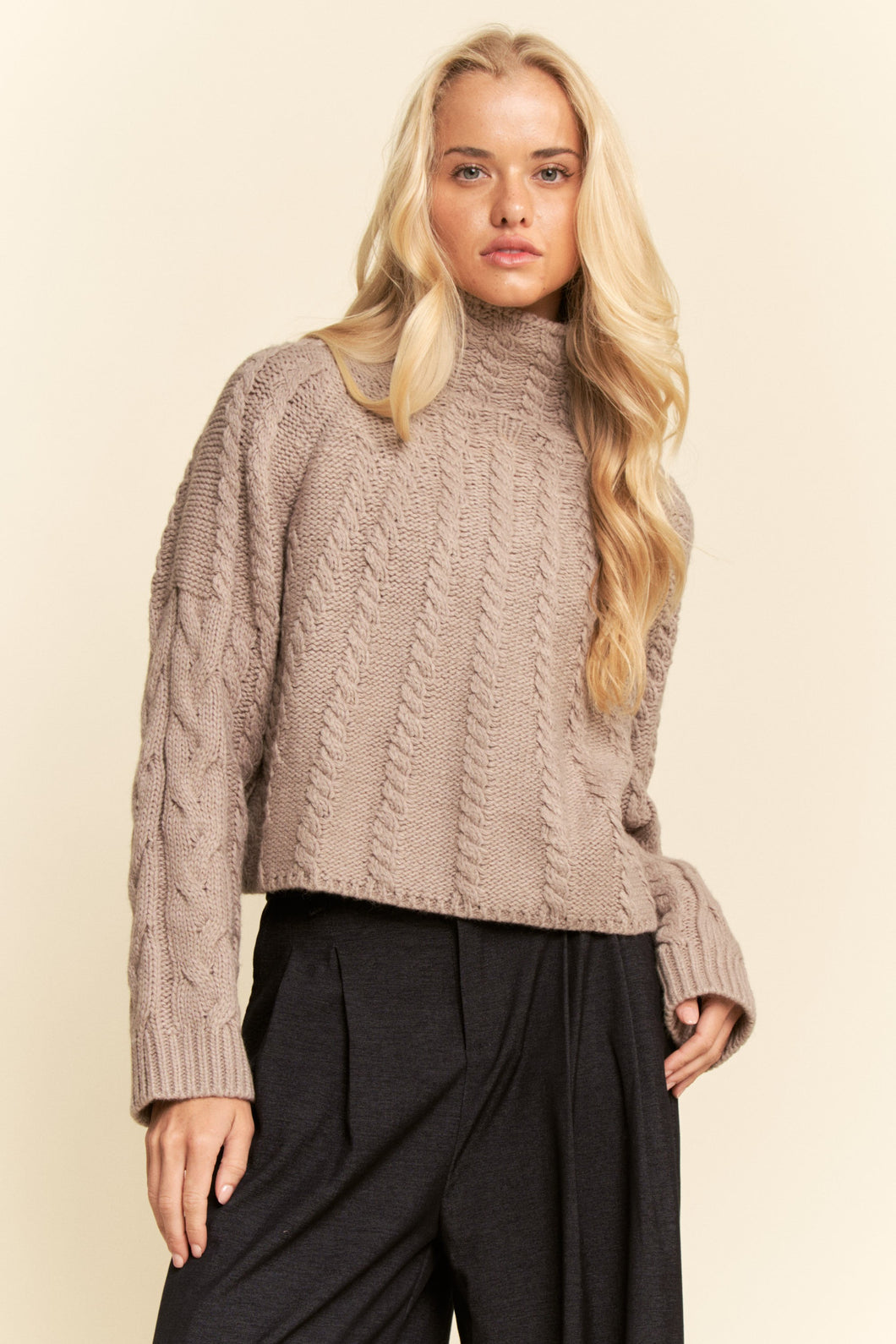 Cable Knit Turtleneck Knit Texture Sweater