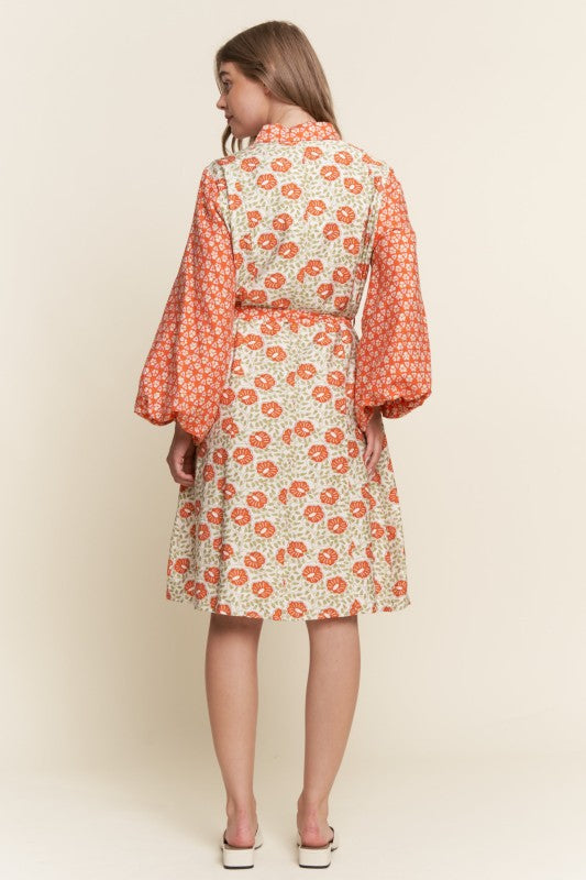 Multicolor Floral Long Sleeve Button Down Dress