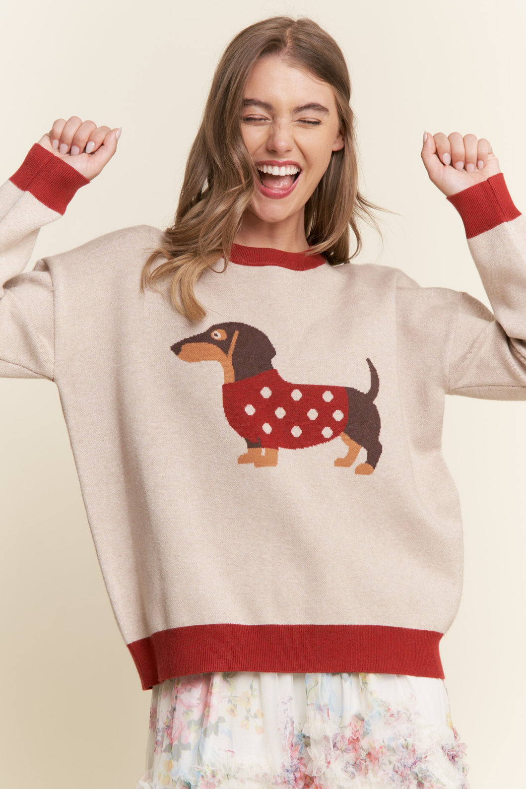 Xmas Dachshund Colorblock Sweater