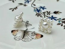 Load image into Gallery viewer, HC - Genuine Freshwater Pearl Earring Studs
